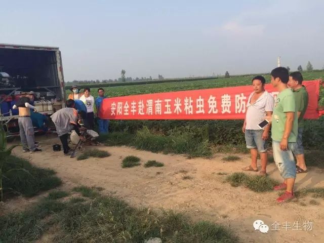 【致敬】致可愛(ài)的人----全力奮斗在華陰蟲(chóng)災一線(xiàn)的各位領(lǐng)導和全豐家人